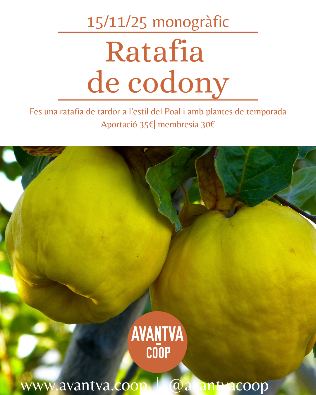 Ratafia de codony